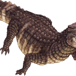 Crocodílidos amenazados