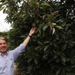 Visita del Embajador de los Estados Unidos a una finca y una compañía empacadora de aguacates en Antioquia