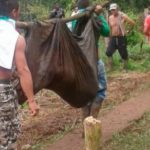 masacre de campesinos en Tumaco
