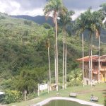 Fogon de Palo Neira01012017 (1)