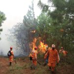 incendios-forestales