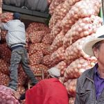 Alimentos 00