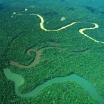 PARQUE-NACIONAL-CHIRIBIQUETE-AMAZONAS-COL-1