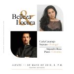 Belleza y locura - Afiche-01