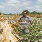 Colombia y Canadá trabajan en proyectos para el apoyo financiero al sector agropecuario