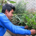 INCITAR_PLANTAS_MEDICINALES_02