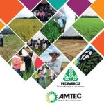 fedearroz-amtec