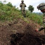 Seis de los siete asesinados en Argelia, Cauca