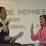IRMA HERRERA VICEPRESIDENTE DE LA COMISION IV DE LA CAMARA
