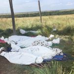 Los cuerpos de las seis personas asesinadas el lunes en la tarde en zona rural entre las veredas San Luis y La Realidad, al norte de Mapiripán.

Foto: Policía Judicial de San José del Guaviare