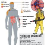 EBOLA-INFOGRAFIA